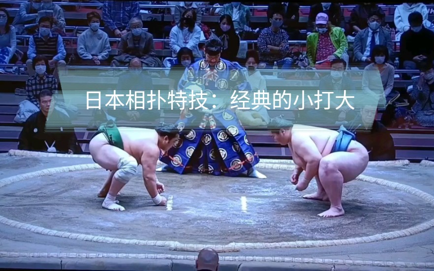 日本相扑也是需要技巧的,都是灵活的胖子