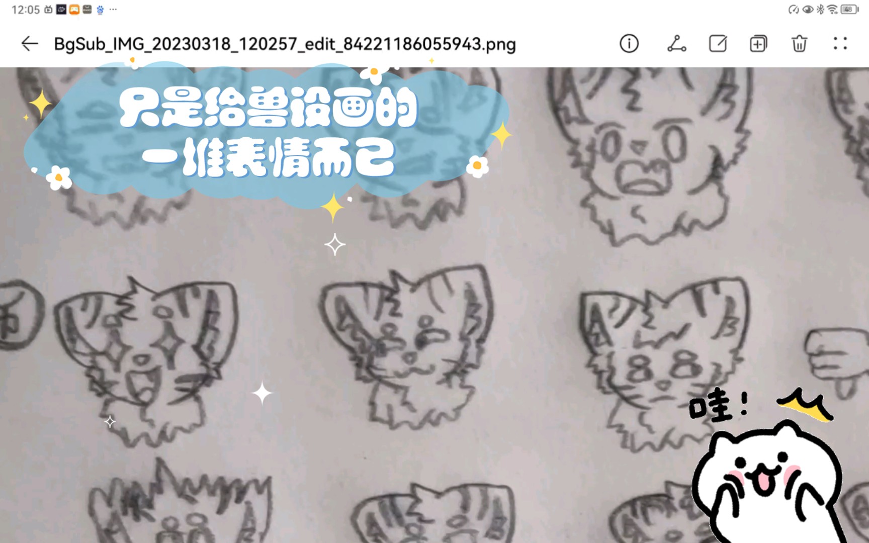 只是给兽设画的一堆表情而已