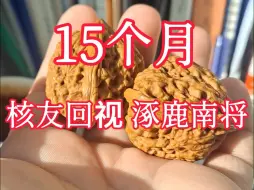 Download Video: 玩15个月的涿鹿南将石依旧皮色姜黄