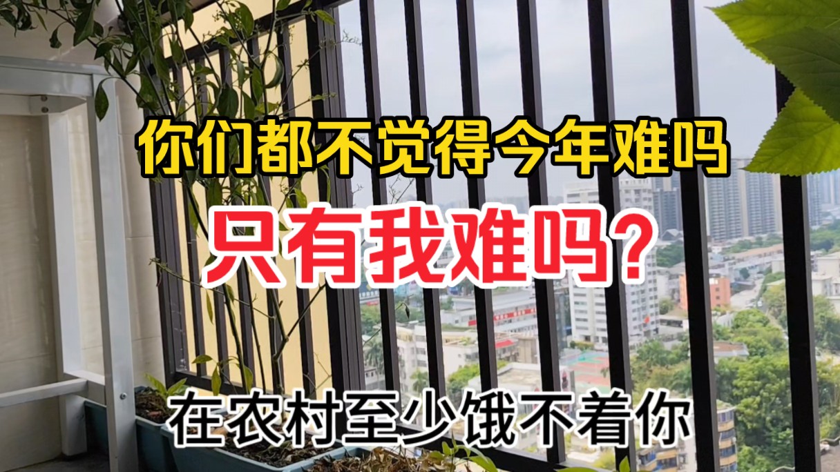 你们都不觉得今年特别难吗?难道只有我和身边的人觉得难吗哔哩哔哩bilibili