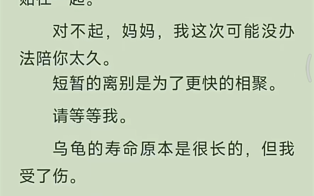 【已完结】南方大蟑螂哔哩哔哩bilibili