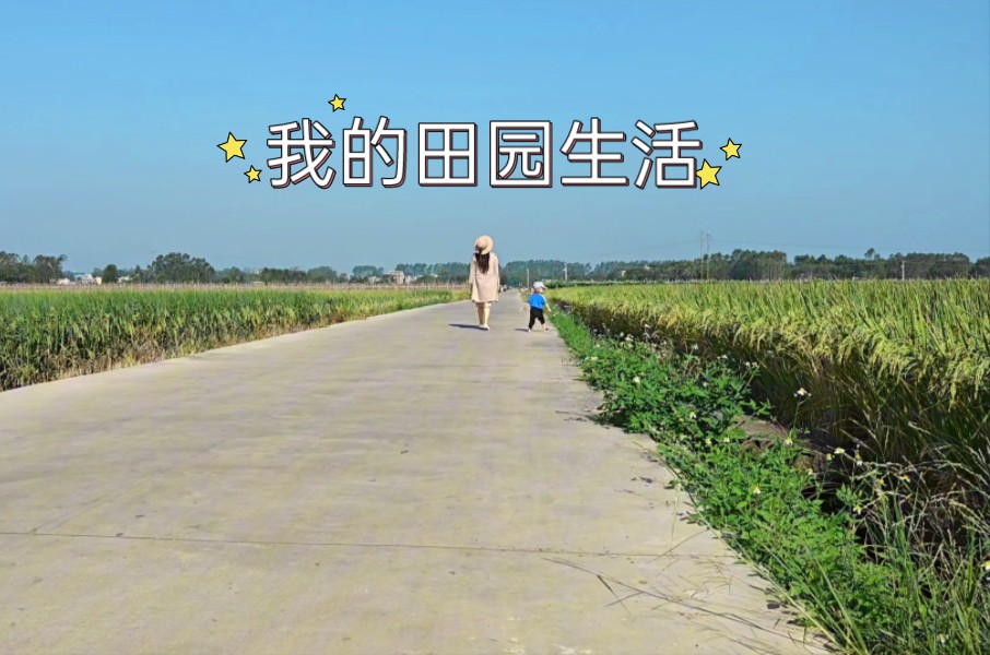 终于实现了我的田园哔哩哔哩bilibili