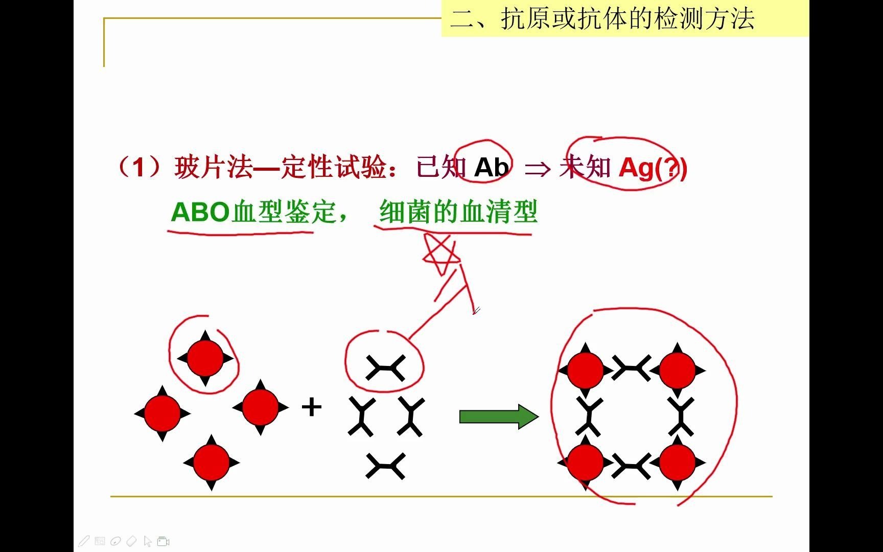 动物免疫学:102 免疫学技术之凝聚性试验哔哩哔哩bilibili
