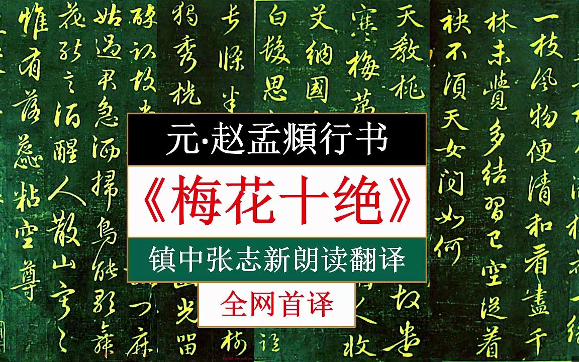 赵孟頫行书《梅花十绝》全文朗读翻译 全网首译 镇中张志新朗读哔哩哔哩bilibili