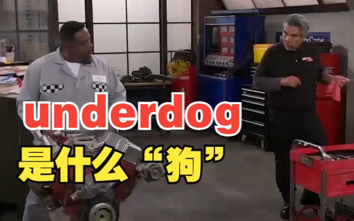 看电影学单词,“underdog”是什么狗?哔哩哔哩bilibili