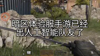 Download Video: 全站首个视频，纳尼？你说暗区突围手游出人机队友了？！）