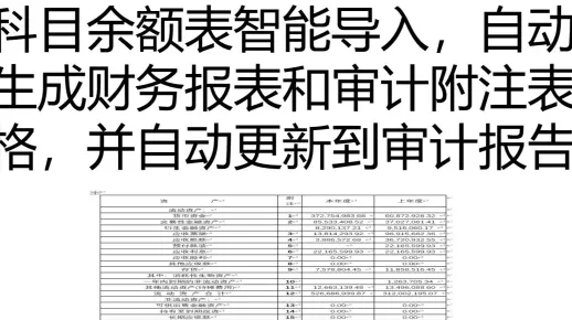 科目余额表生成报表附注操作演示