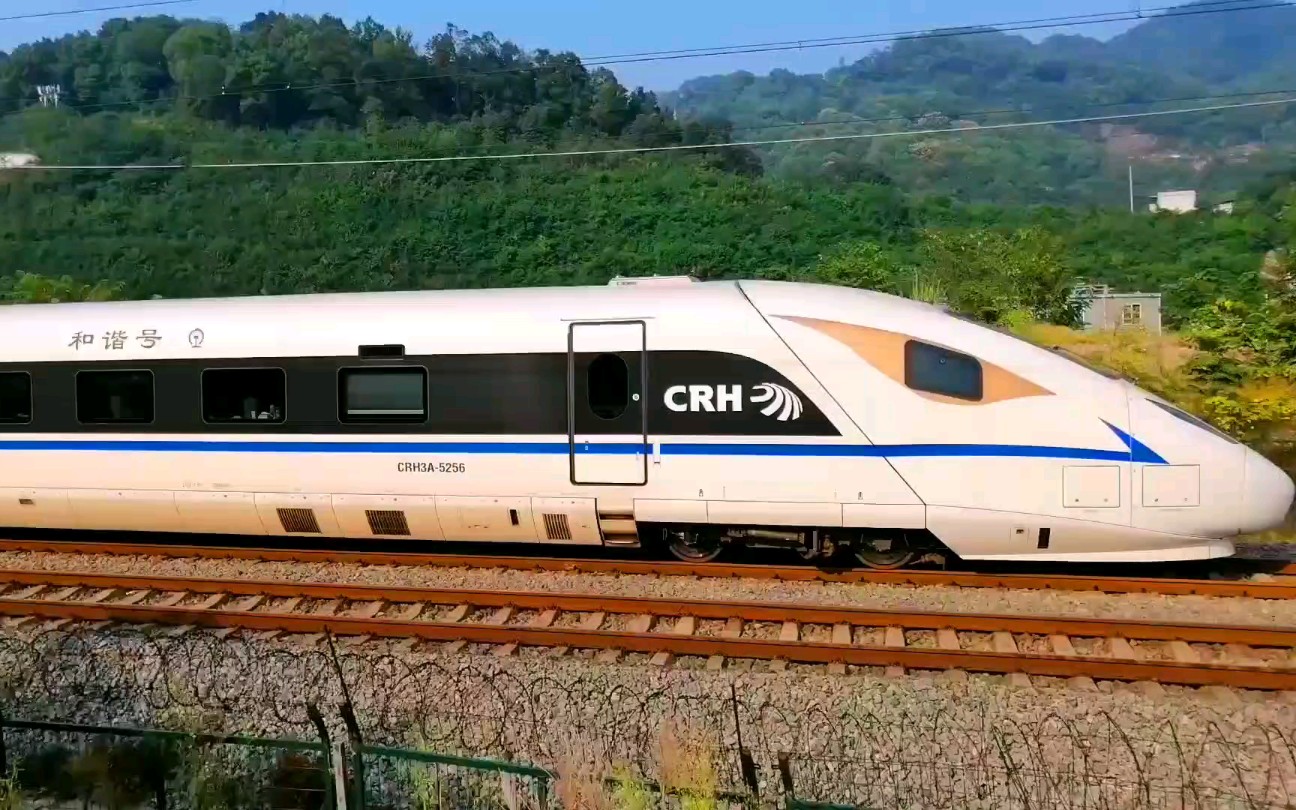 成局黄金眼d1781成都东-南宁东(crh3a-5256)通过重庆成渝高速中梁山
