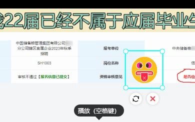 应届毕业生到底怎么规定的???????????哔哩哔哩bilibili