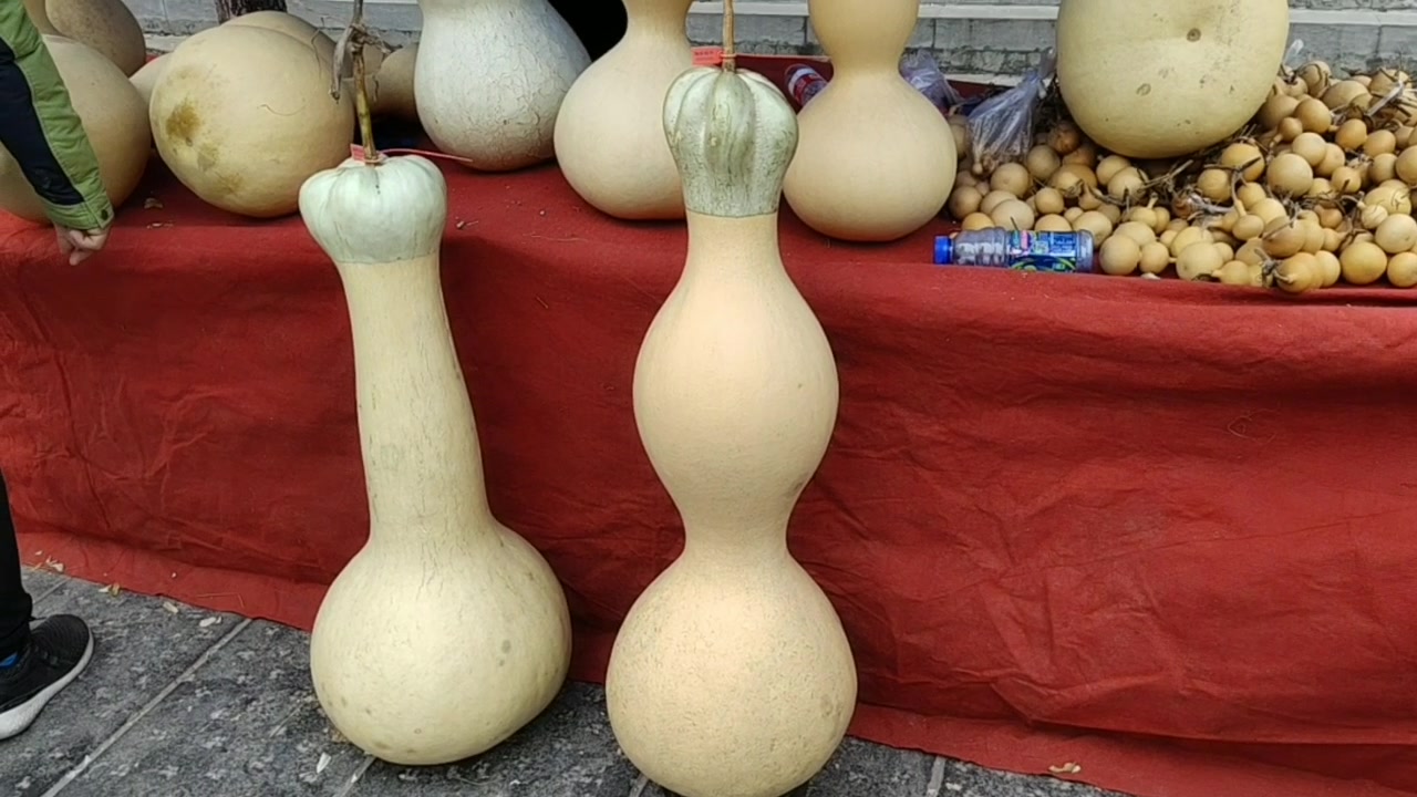 聊城葫芦节最大的一把莲花头葫芦