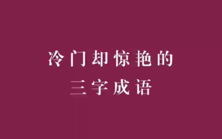 阿堵物、冷飞白|盘点那些冷门且惊艳的三字成语,你听说过吗?哔哩哔哩bilibili