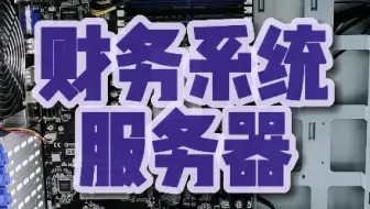财务系统服务器 华硕单路主板 至强E2288G 8核心16线程 16G内存 两个6T做raid1
