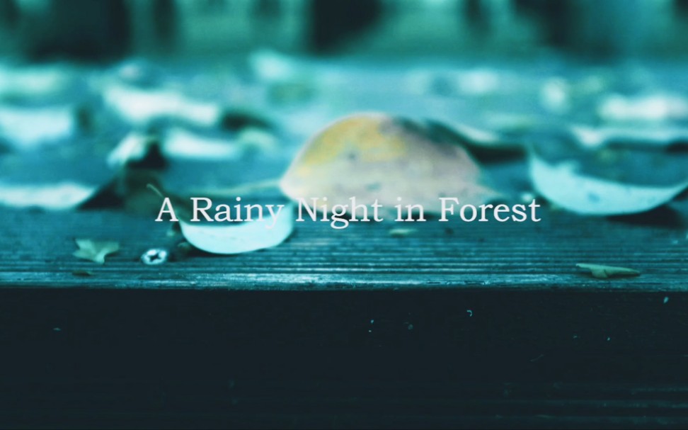 [图]A Rainy Night in Forest（雨后的森林）