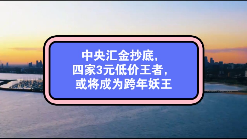 中央汇金抄底,四家3元低价王者,或将成为跨年妖王哔哩哔哩bilibili