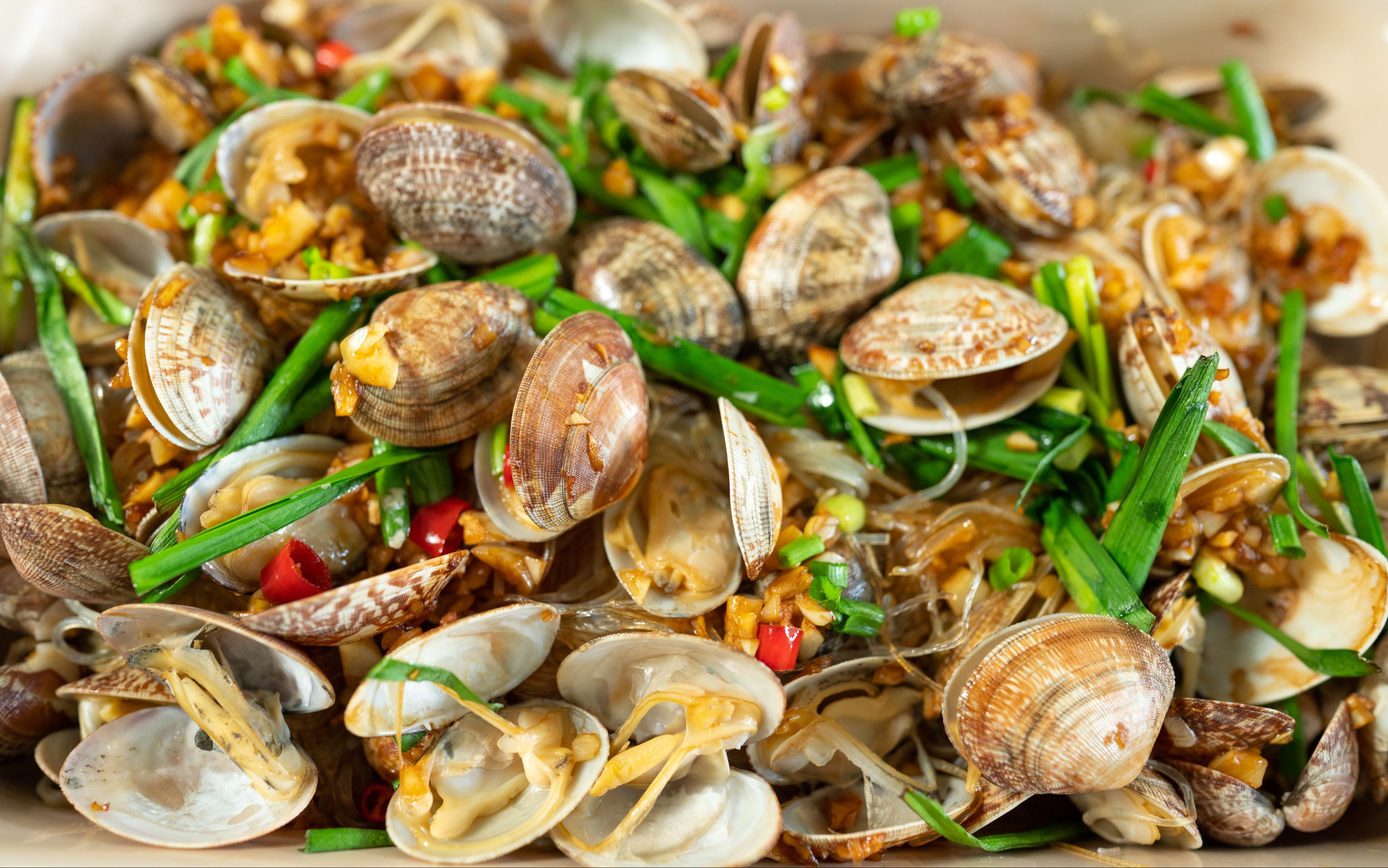 【雨杭叔叔】味道鲜美的平价海鲜料理 | 粉丝烤花蛤 | 毕竟大家不是天