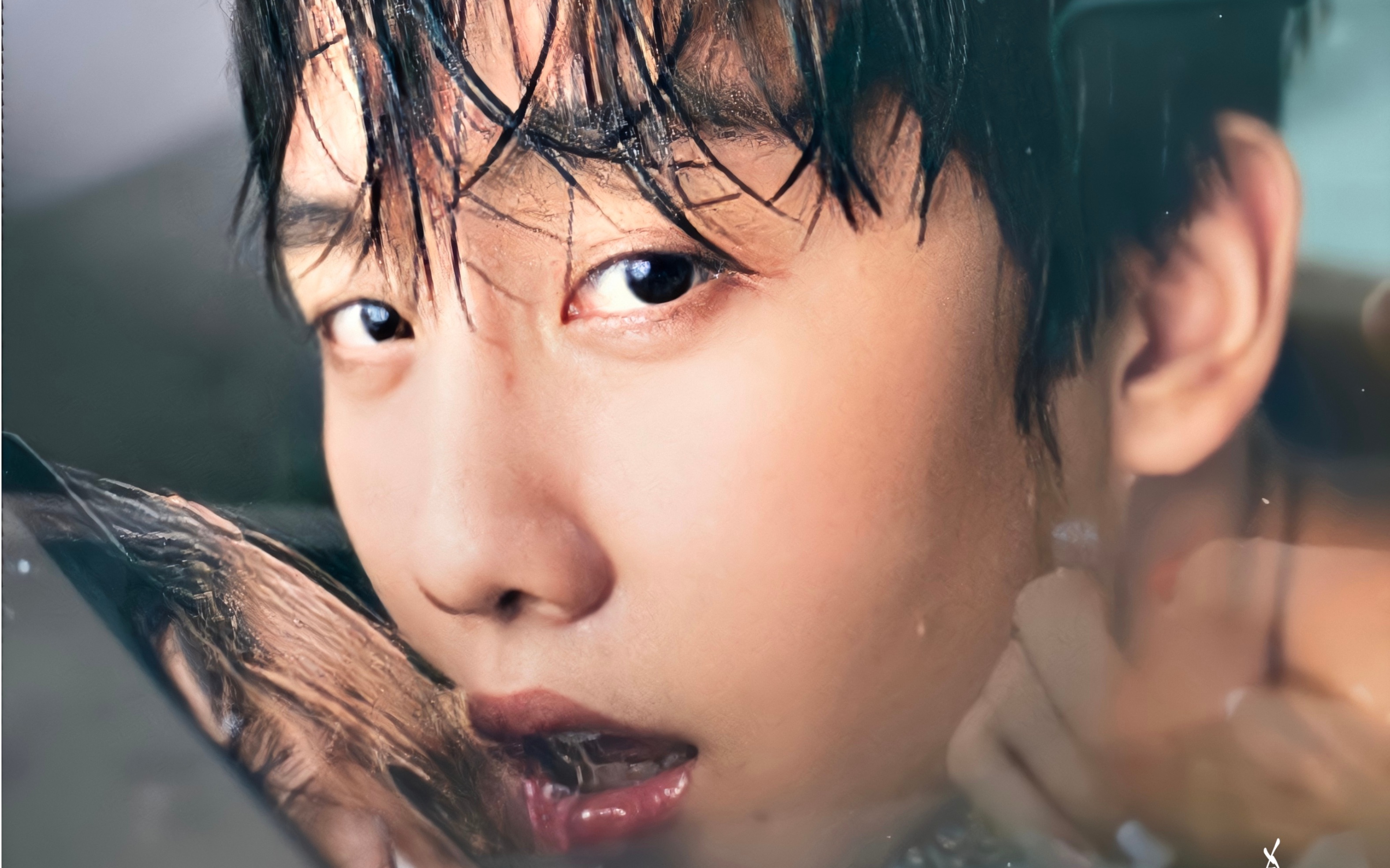 mark陈瑞书太欲了这谁顶得住啊