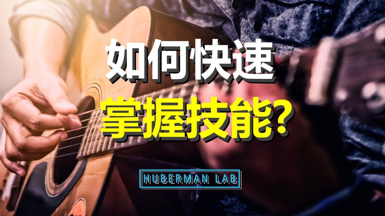 想要快速从入门到精通?揭秘一万小时定律背后的神经科学(内含行为策略)哔哩哔哩bilibili