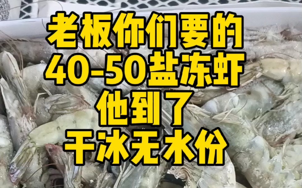 4050盐冻虾批发哔哩哔哩bilibili