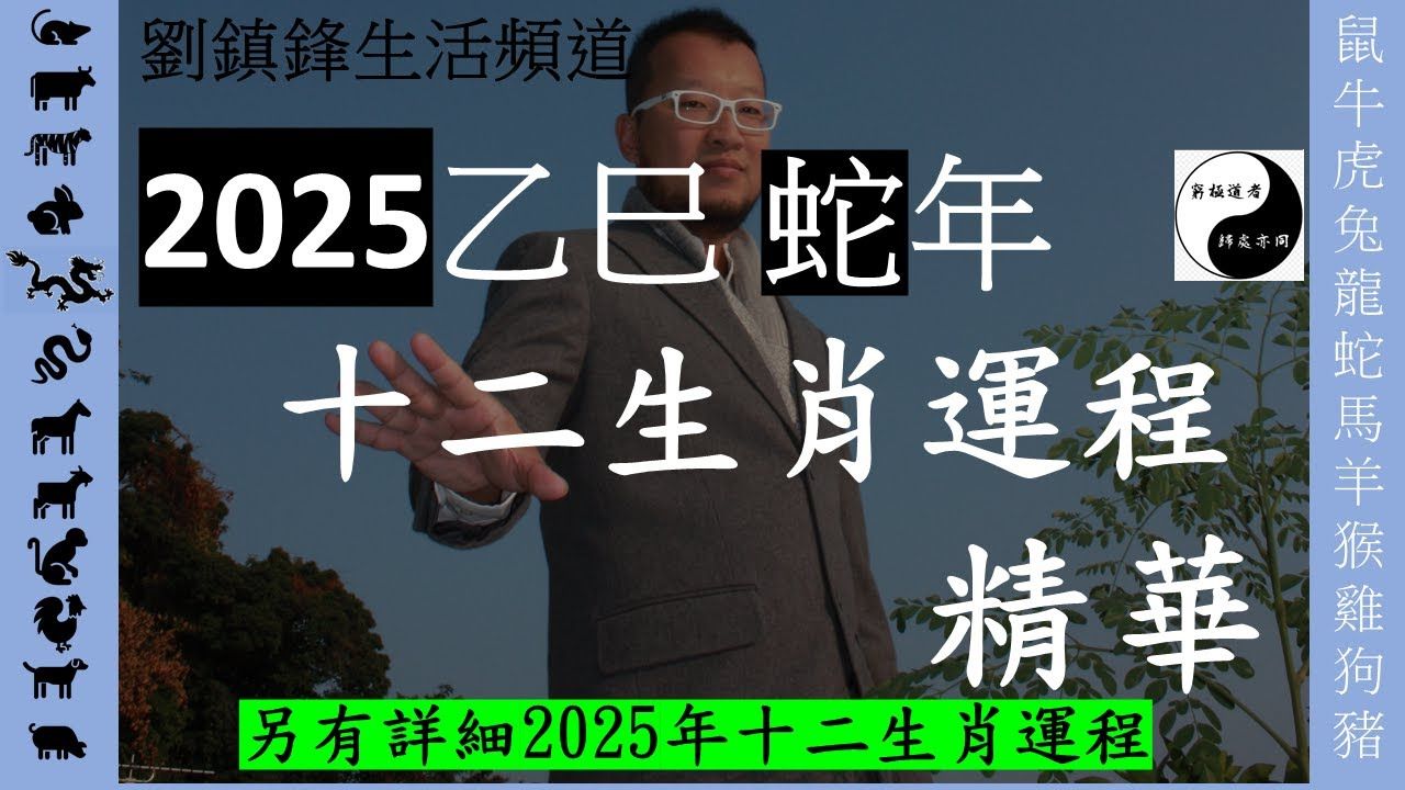 2025年十二生肖运程 精华鼠牛虎兔龙蛇马羊猴鸡狗猪刘镇锋生活频道哔哩哔哩bilibili