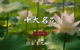 十大名花，你家有几种？