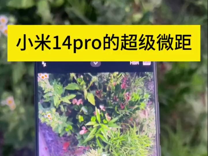 小米14pro的超级微距确实牛逼哔哩哔哩bilibili