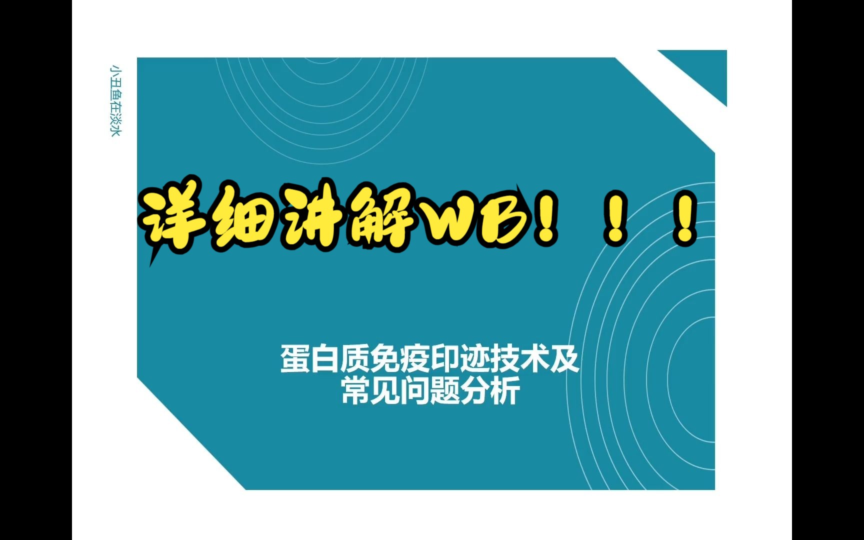 蛋白印迹技术(Westernblot)从样品制备到试剂配制、结果处理以及常见实验中出现的问题分析及解决办法(详细讲述!!)哔哩哔哩bilibili