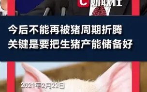 Tải video: 农业农村部：今后不能再被猪周期折腾，关键是要把生猪产能储备好