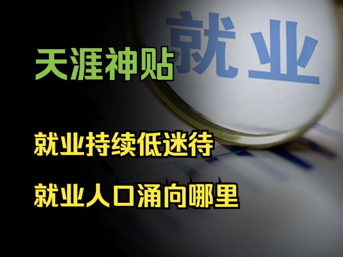 天涯神贴之就业持续低迷待就业人口去涌向哪里哔哩哔哩bilibili