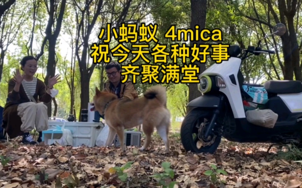 SYM小蚂蚁 #4mica ,祝今天各种好日子都齐聚满堂,五十岁生日、结婚十五周年,网站成立十八周年,苏联从阿富汗撤军三十五周年.......哔哩哔哩bilibili