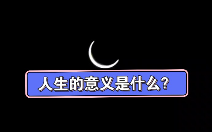 『人生の意义是什么』致敬每一位热爱生活的★你我Ta哔哩哔哩bilibili