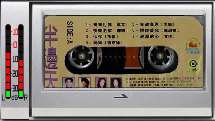 磁带 半边天 那英 陈淑桦 张惠妹 孙悦