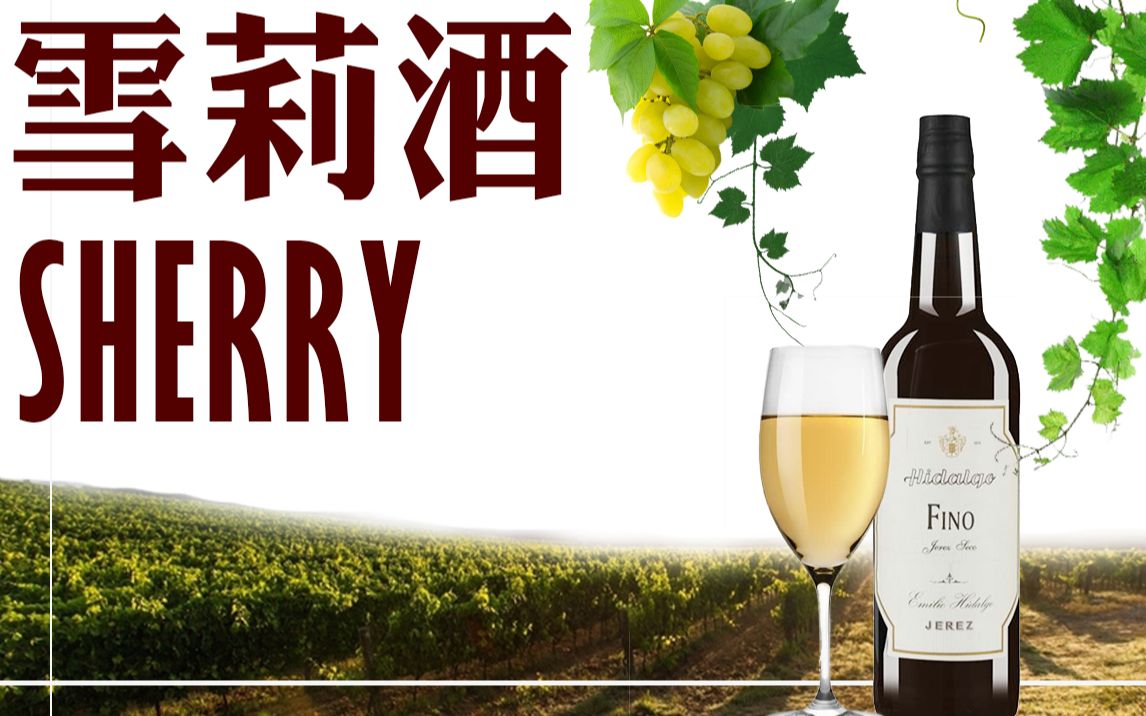 【酒干货】雪莉酒Sherry,从入门到进阶哔哩哔哩bilibili