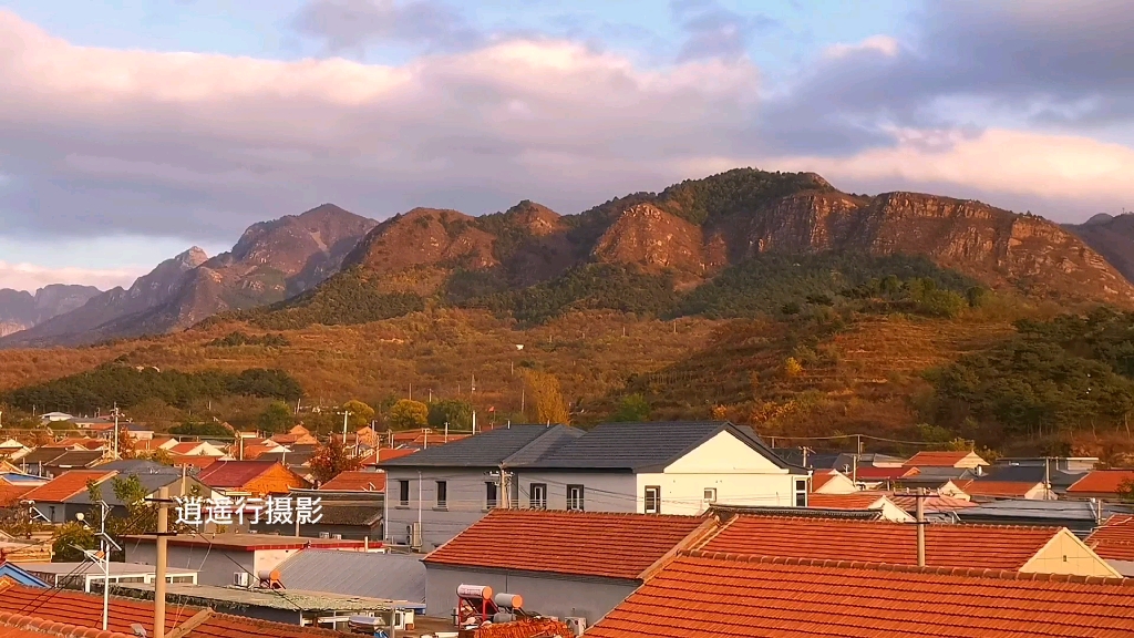 北京平谷雨后,当清晨的阳光泼洒在安宁祥和的山村,金灿灿的色彩铺满了