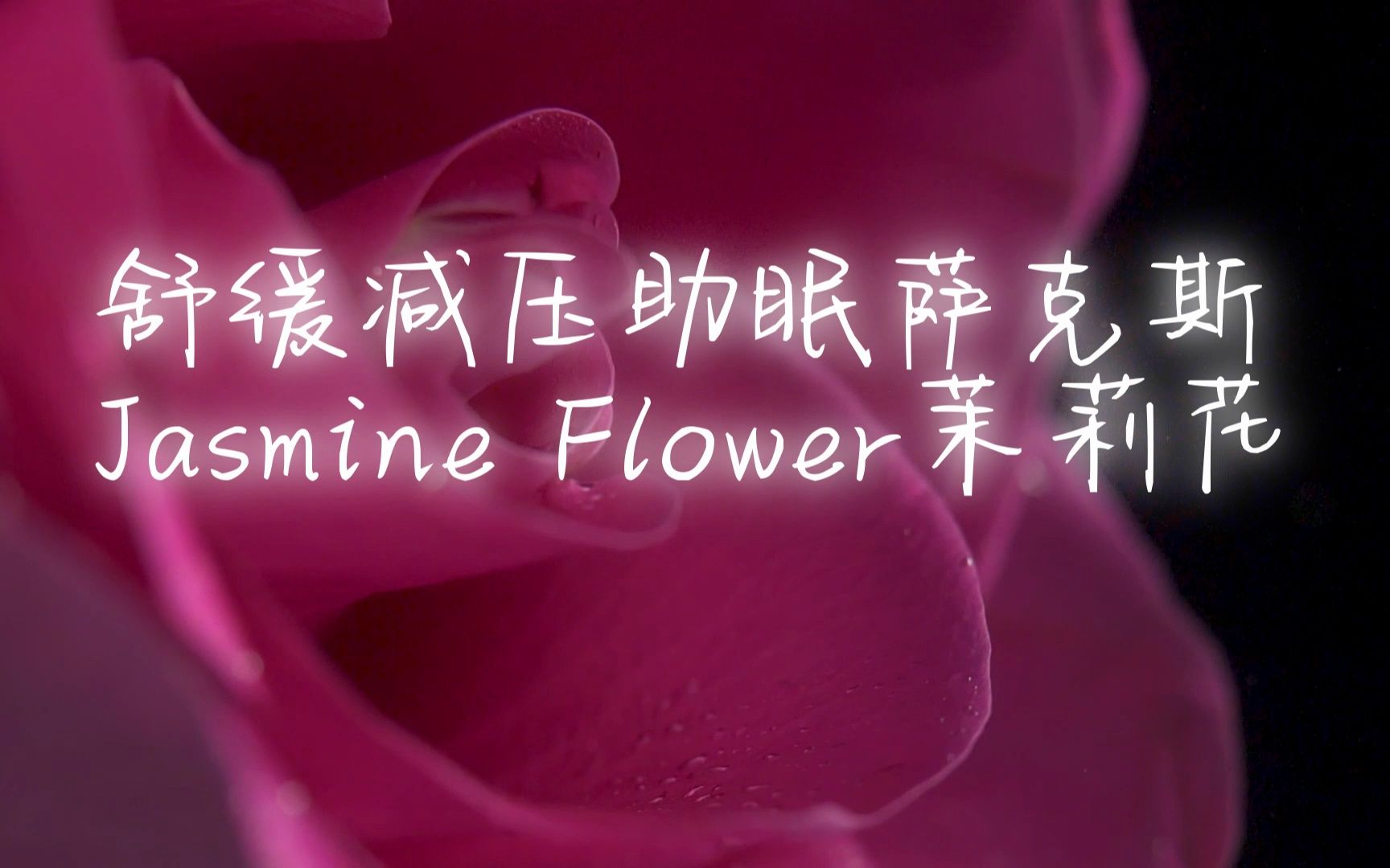 [图]Jasmine Flower茉莉花