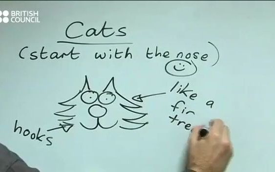 How to draw cats, dogs and birds如何画猫狗鸟哔哩哔哩bilibili