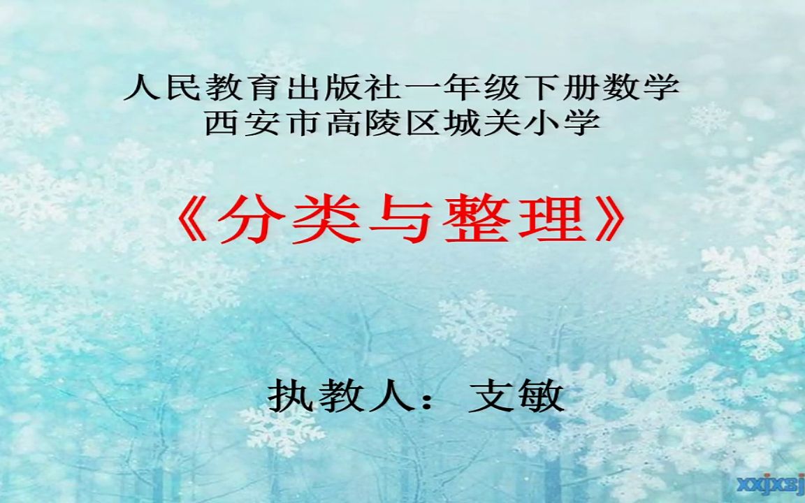 分類與整理》陝西省-支老師全國一等獎公開優質課視頻課件教案