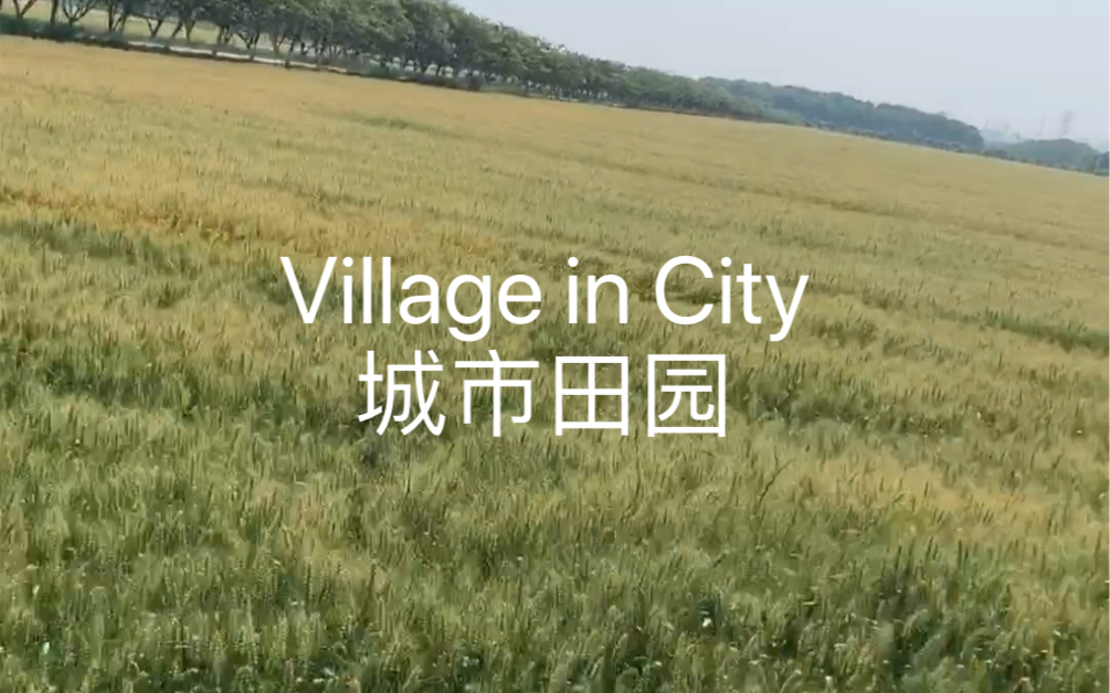 [图]Village in City 城市田园