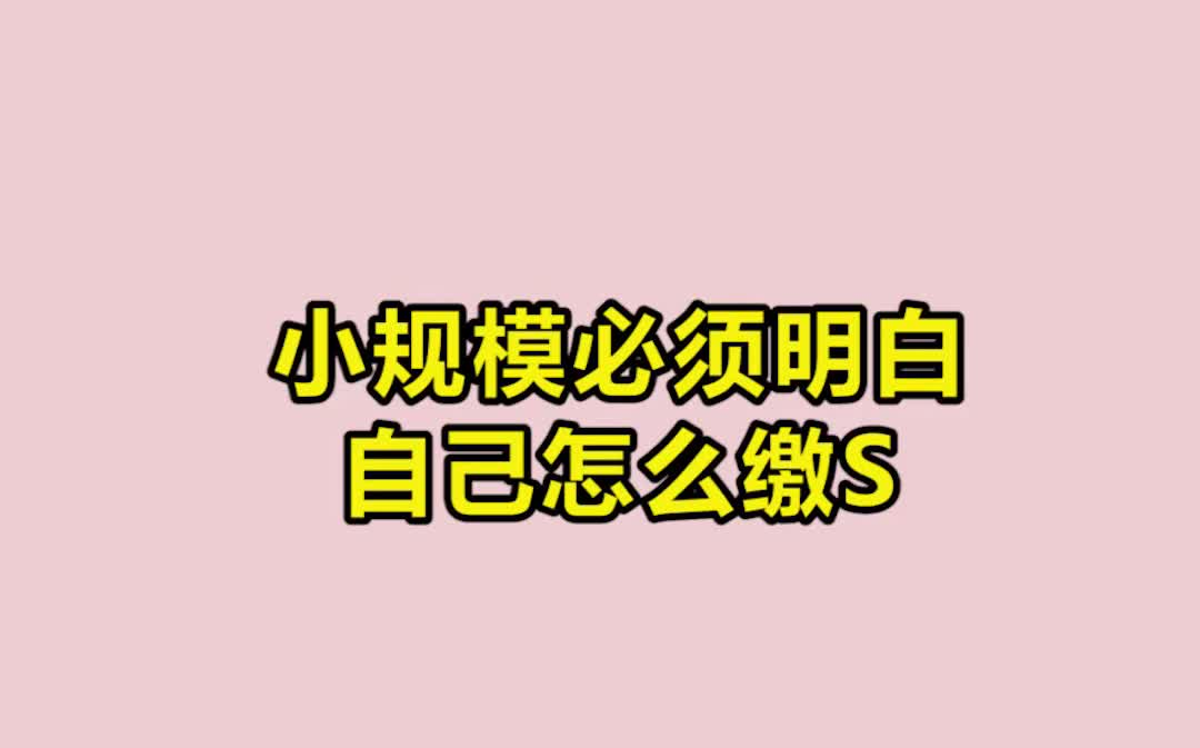 做账报税|会计分录|会计实操秘籍|会计工作|做账实操|小规模做账|会计做账|做账流程|小规模必须要明白,自己怎么交税?哔哩哔哩bilibili