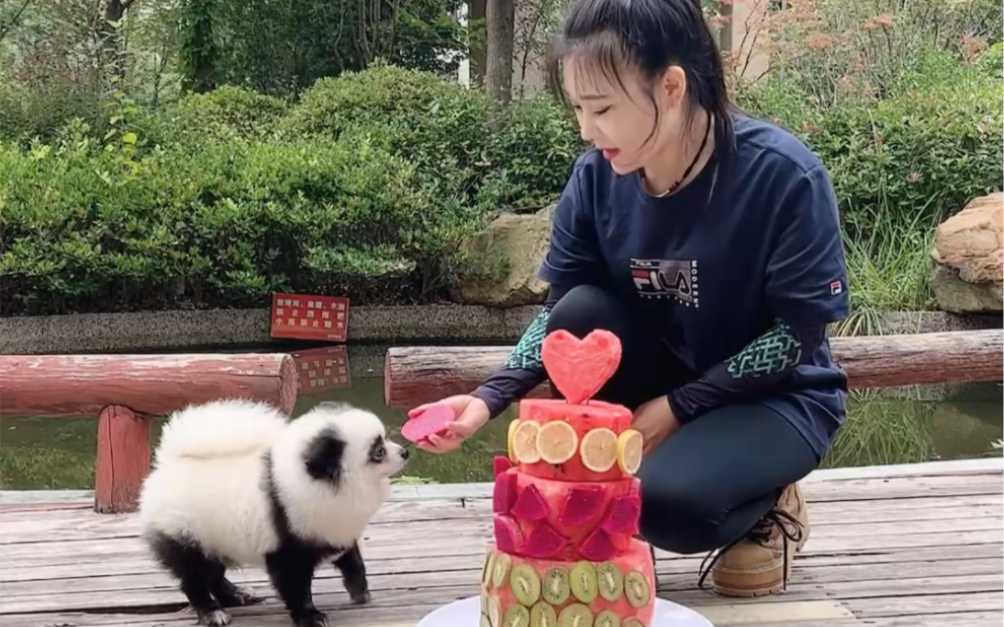 [图]茅台：小伙伴们，今天我2岁啦，祝我生日快乐吧！