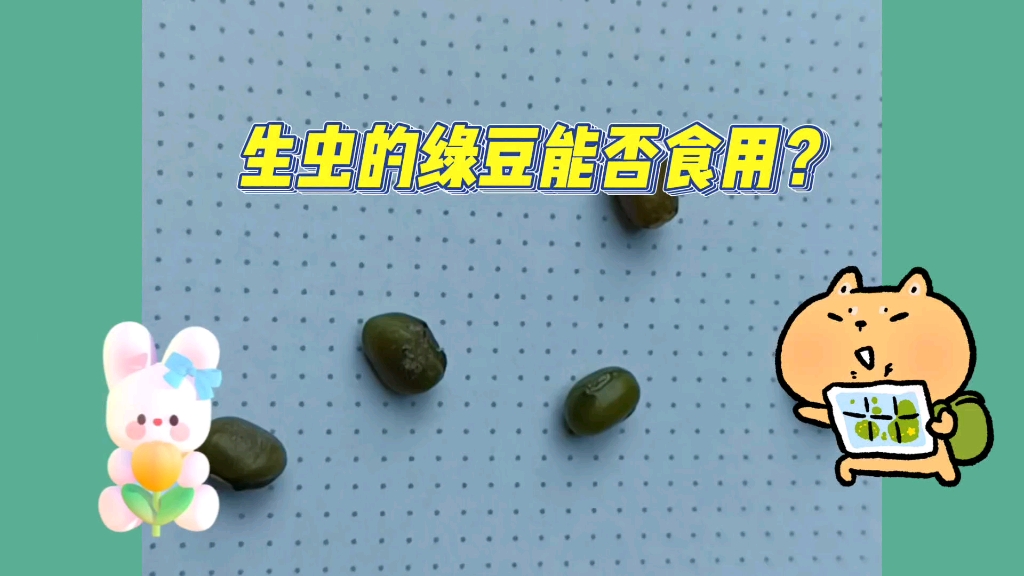 生虫的绿豆发霉的绿豆能否食用小知识哔哩哔哩bilibili