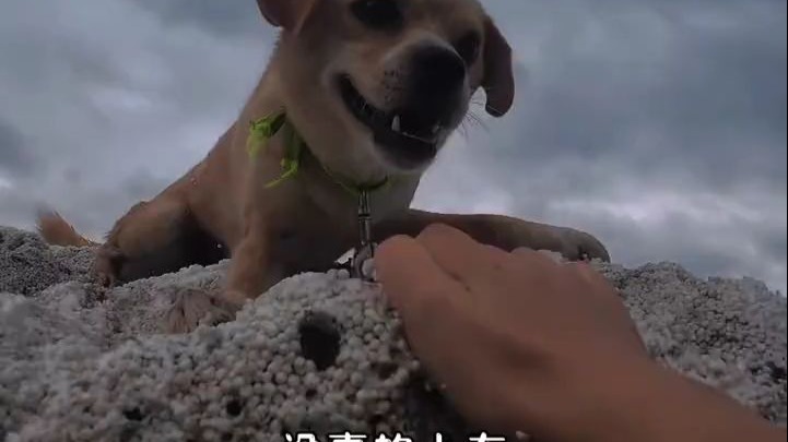 挑战荒岛生存15天 第11天