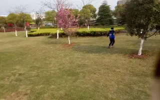 妈妈不要离开我！唱哭了很多人