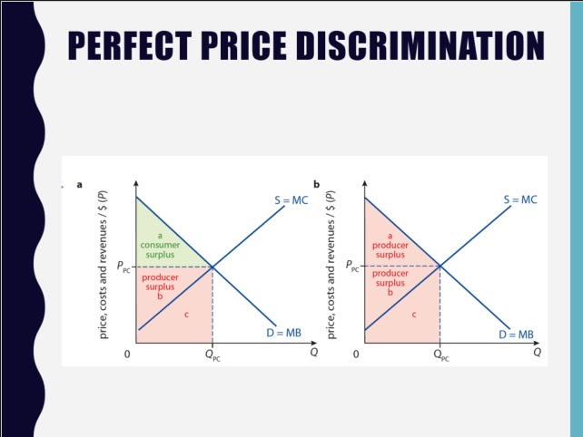 cie economics_price discrimination