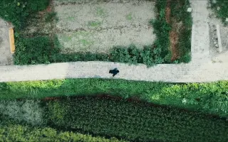 白雀羚 搜索结果 哔哩哔哩 Bilibili