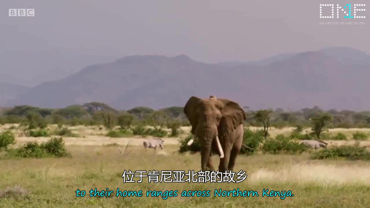 [图]中英文字幕E01《自然史诗之旅 Nature’s Epic Journeys》象群