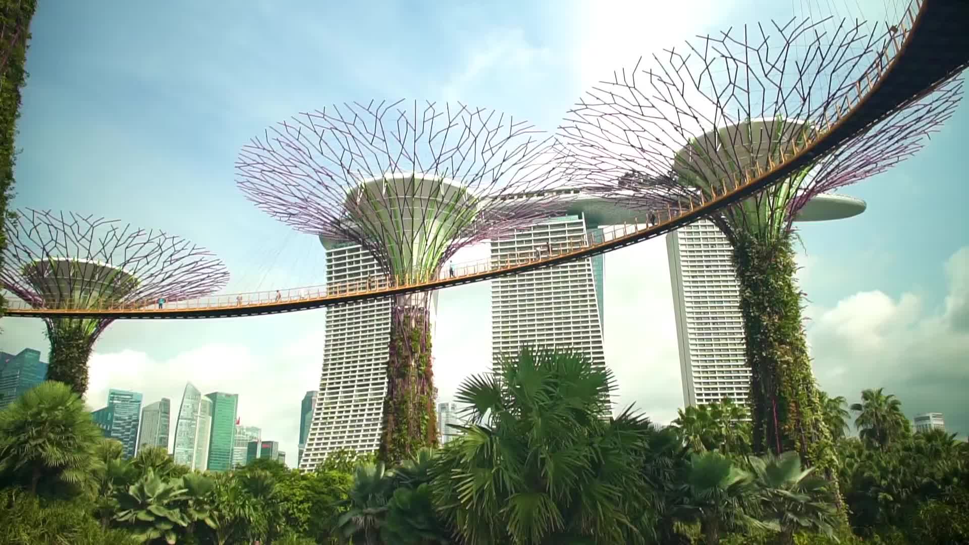 新加坡的独特人造景观"擎天大树林"(中文原创字幕)