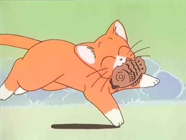 猫猫日记 蜜柑绘日记 ncop ed 特典(dvd)