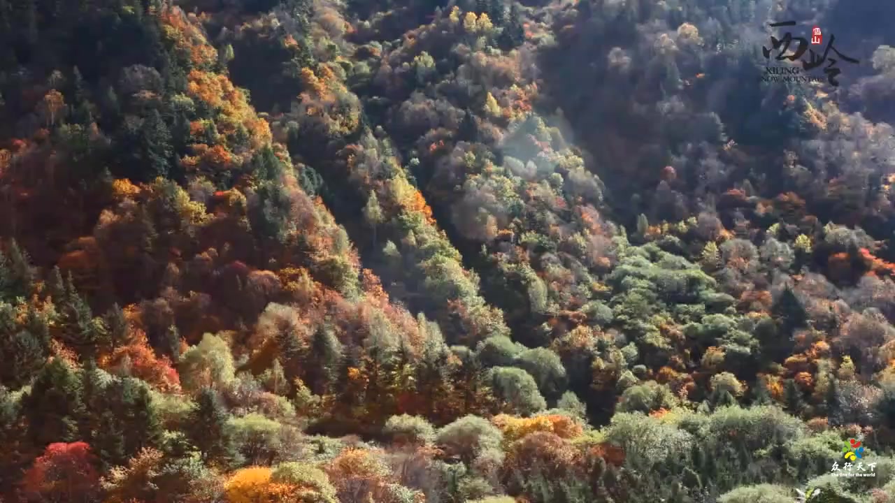 [图]秋意正浓之西岭雪山