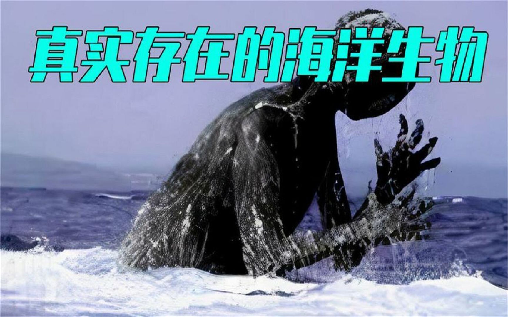 5个真实存在的海洋生物,如果不是被相机拍到,真的不敢相信