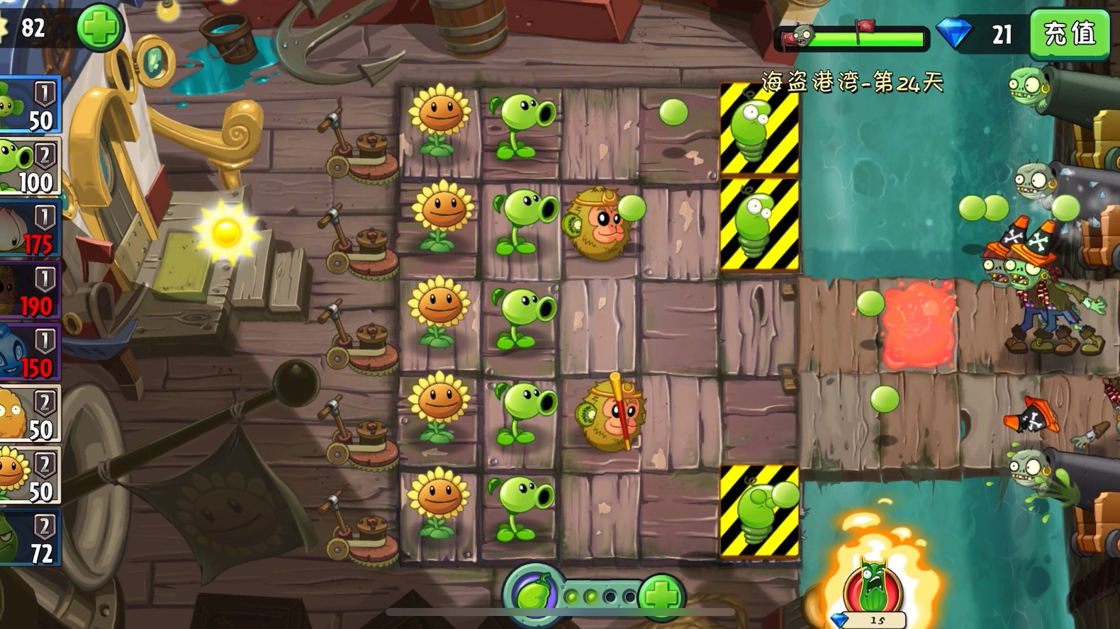 保护濒危物种弹簧豆